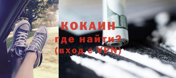 гидра Арсеньев