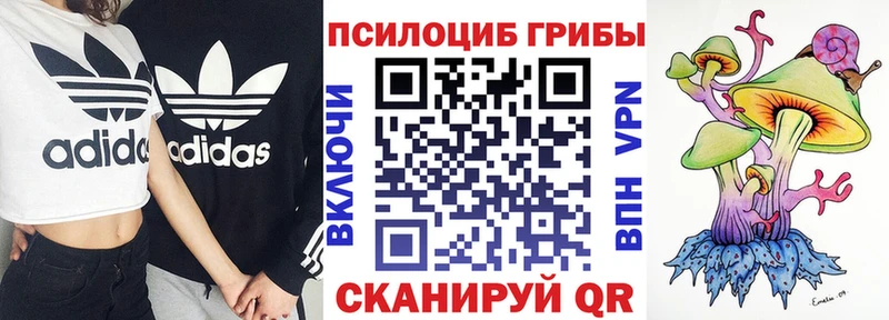 наркота  mega маркетплейс  Псилоцибиновые грибы прущие грибы  Большой Камень 